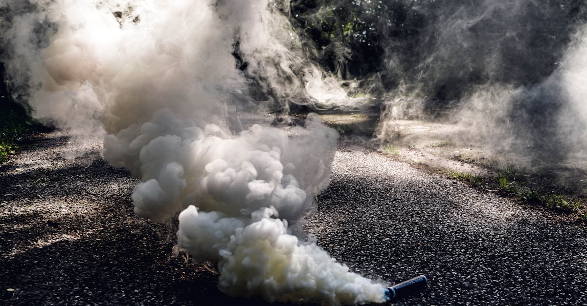 Ethereal smoke forming over a shaded forest pathway, creating a surreal atmosphere.