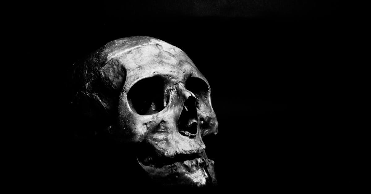 Moody black and white photo of a skull on a dark background.