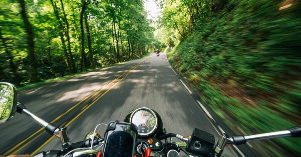 Experience the thrill of speed on a motorcycle journey through lush, winding forest roads.