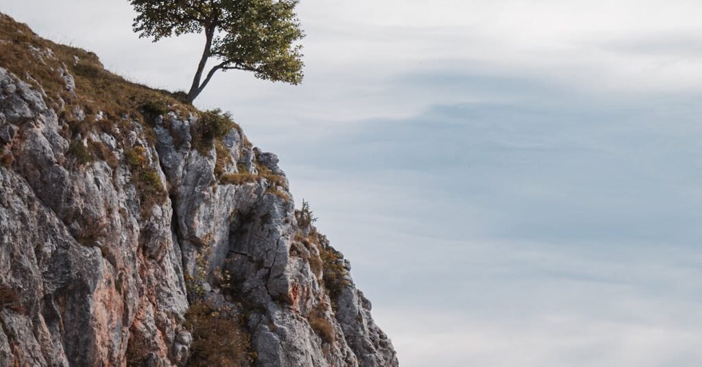 A solitary tree stands atop a rugged cliff in Graz, Austria, capturing a sense of isolation and tranquility.