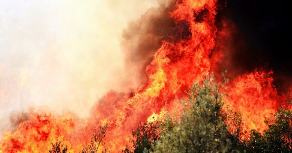 A forest fire with dramatic flames in Demre, Türkiye highlighting environmental concerns.