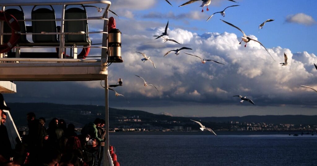 Beautiful ferry ride in Çanakkale, Türkiye, with seagulls flying over the sea.