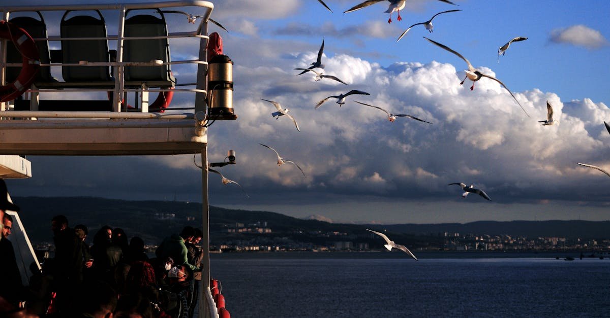Beautiful ferry ride in Çanakkale, Türkiye, with seagulls flying over the sea.