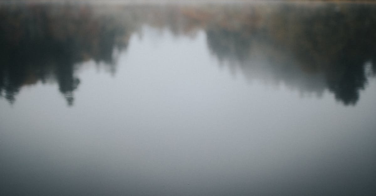 A serene autumn scene with a single maple leaf floating on a misty lake, surrounded by trees.
