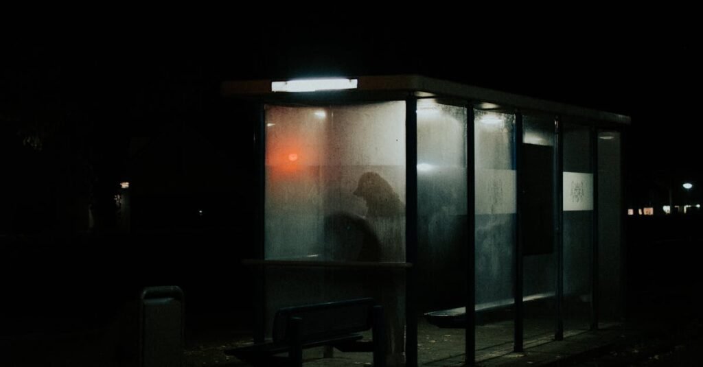 A solitary figure waits at a dimly lit bus stop in Almere at night.