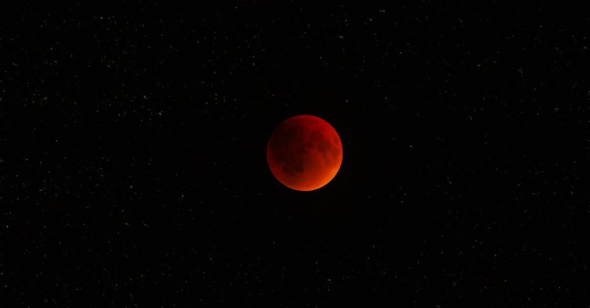 "Under the crimson glow of the Blood Moon, the night unveils its rare cosmic beauty."