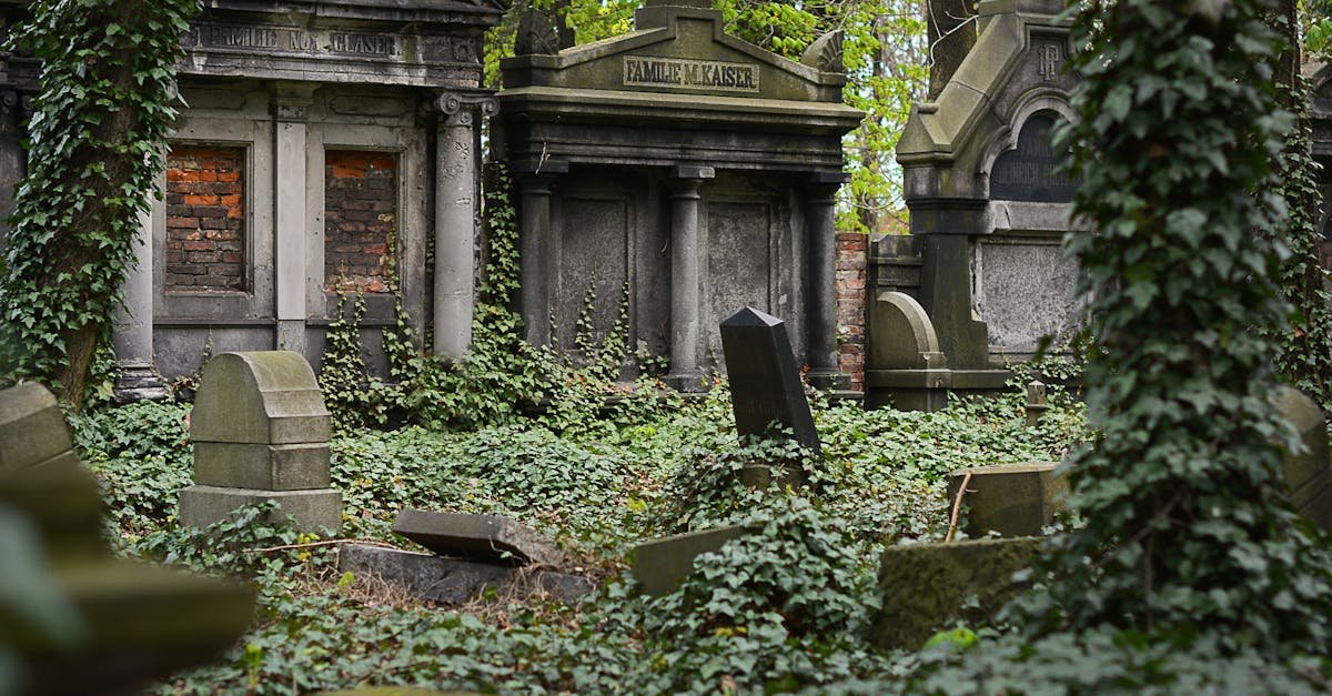 Mysterious cemetery covered in ivy, featuring old tombstones and overgrown vegetation.