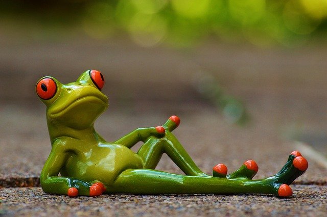 frog, nature, lying, relaxed, cute, quiet, figure, fun, relaxation, animal, frogs, wildlife