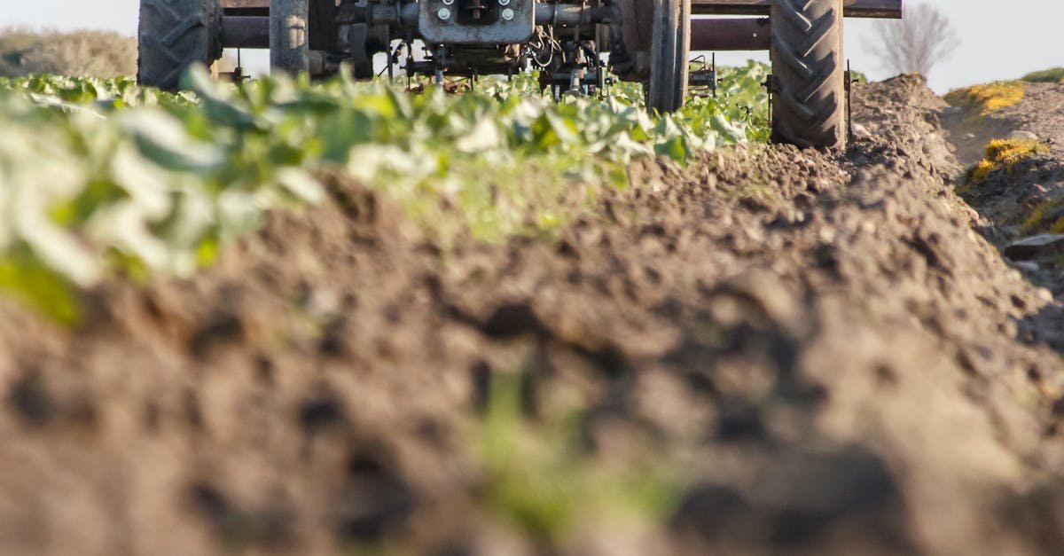 A farmer operates a vintage tractor in a rural field during a sunny day, preparing the soil for cultivation.