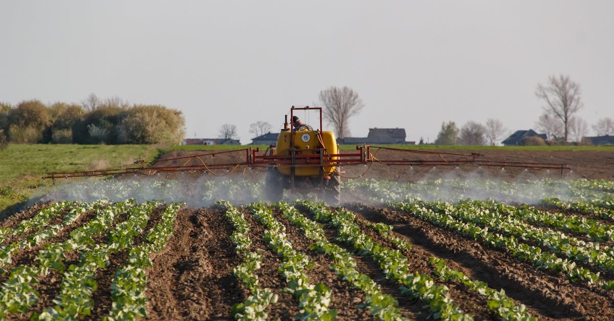 Tractor spraying a vibrant farm field. Capturing modern agriculture in action.