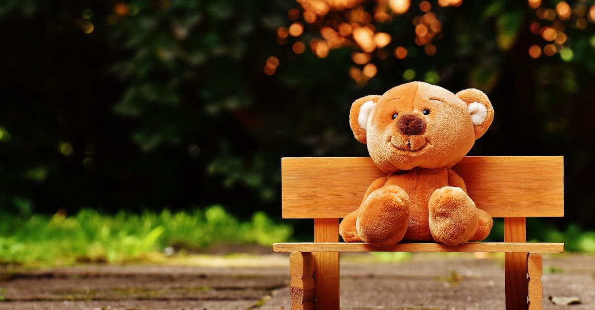 Cute teddy bear sitting on a wooden bench in a sunny, lush garden setting.