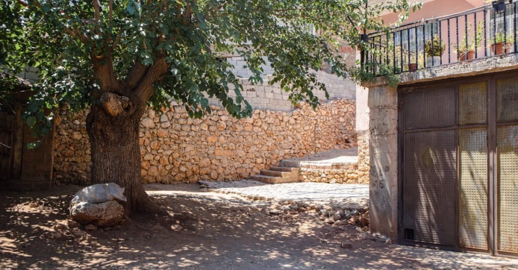 Charming courtyard in Kuyu, Diyarbakır with stone walls and a leafy tree, showcasing traditional architecture.
