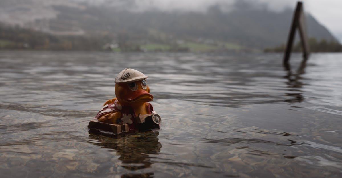 A cute rubber duck floats in a misty lake, evoking adventure and curiosity.