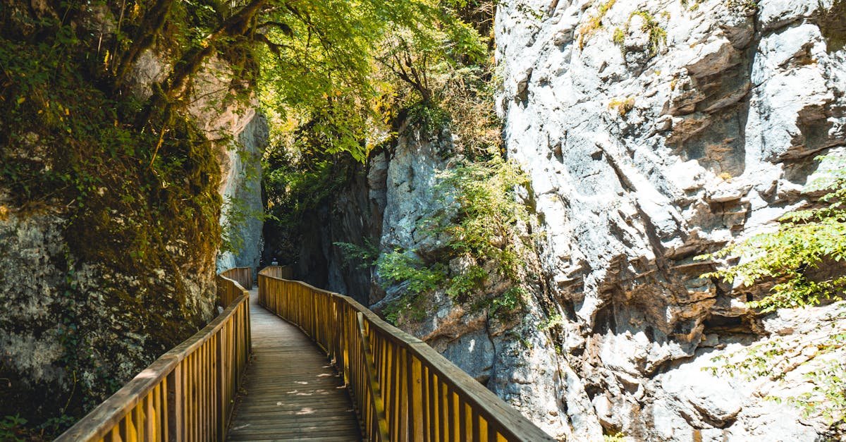 Beautiful walk through rocky gorge in Kastamonu, Türkiye with lush greenery on a sunny day.