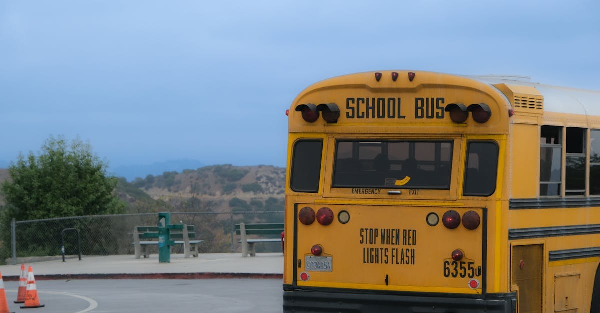 A classic yellow school bus parked in a scenic outdoor area in Los Angeles.