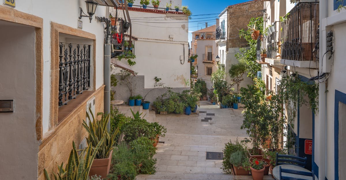 Charming alley in Alicante adorned with lush plants and traditional architecture.