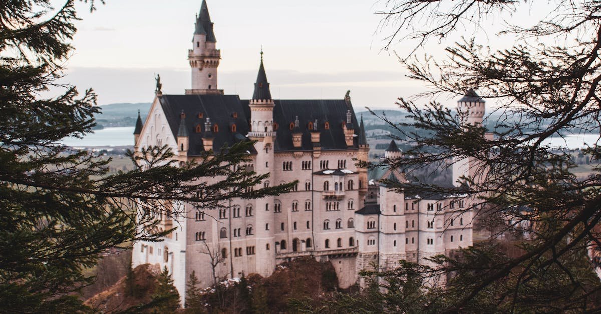 Stunning view of Neuschwanstein Castle framed by trees, set in Bavarian landscape.