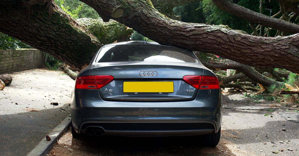 An Audi A5 severely damaged by a fallen tree on a street in the UK.