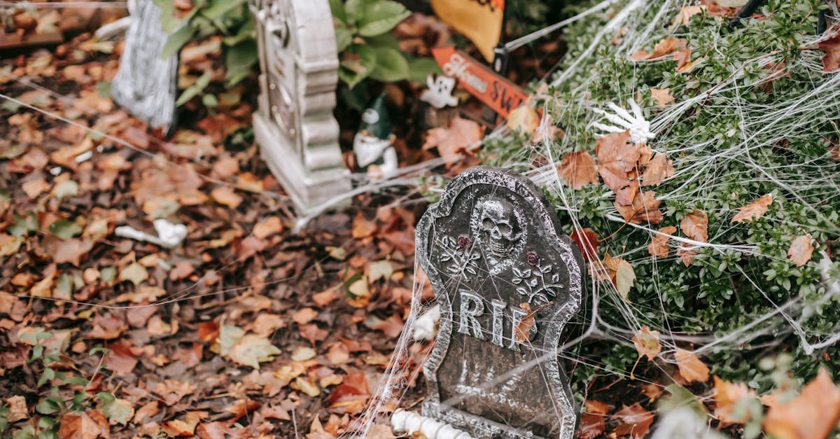 Fake graves covered in web with bones lying around near signs trick or treat and home sweet home on Halloween in autumn day