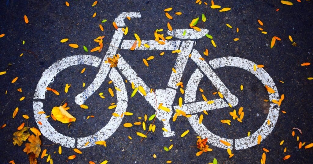 A bicycle lane symbol painted on an asphalt road covered with colorful autumn leaves.
