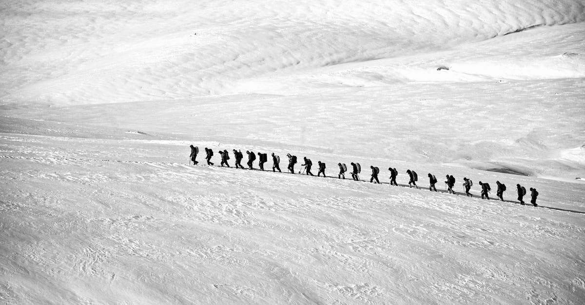 Silhouetted group hiking across a vast snowy landscape showcasing adventure and endurance.