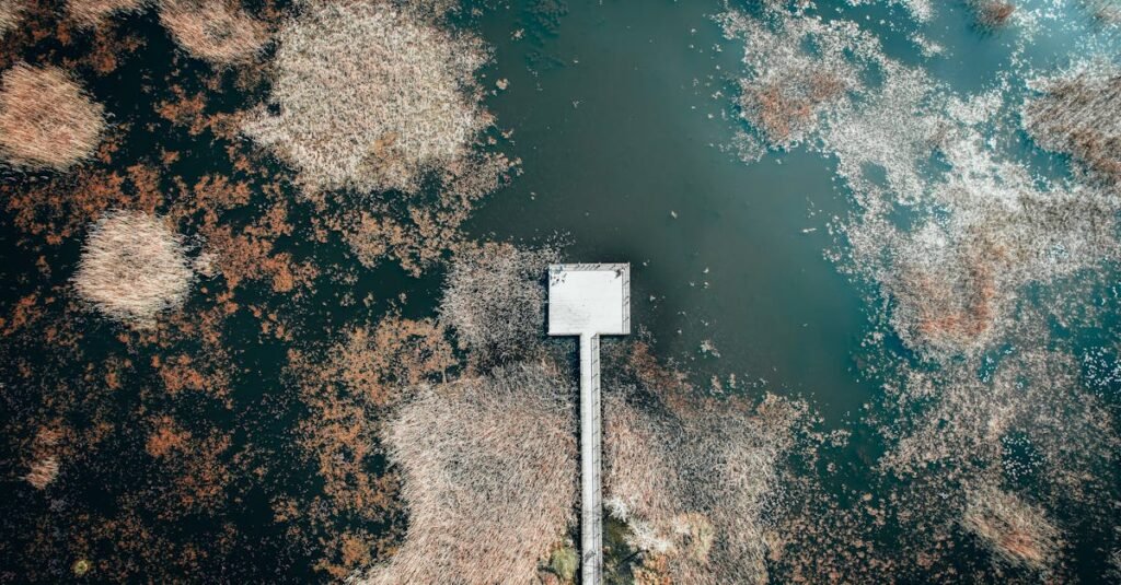 Breathtaking aerial shot of a jetty amidst water and reeds in Silivri, Istanbul.