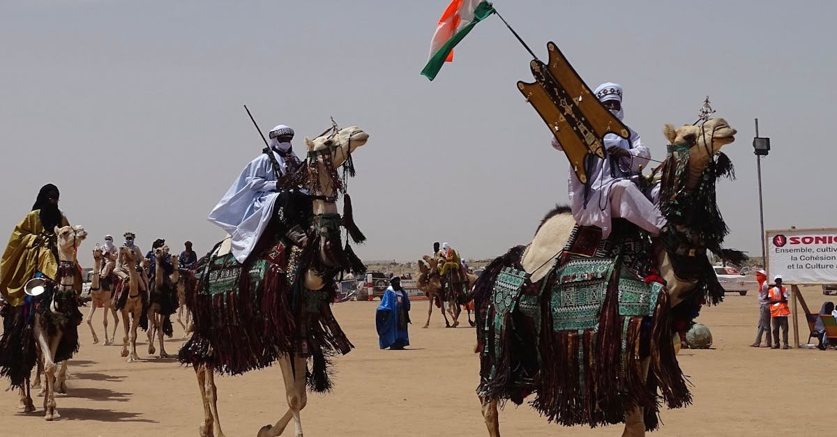 Camels and people in traditional attire at a desert festival in Ingall, Niger.
