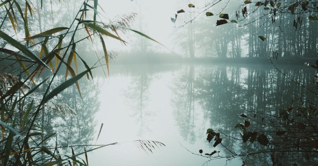 A misty lake scene with reflections and lush flora, captured at sunrise, evokes tranquility and natural beauty.