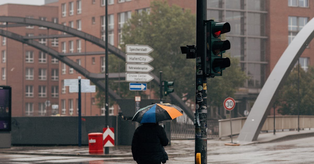 A pedestrian holds an umbrella at a crosswalk in rainy Hamburg, Germany.