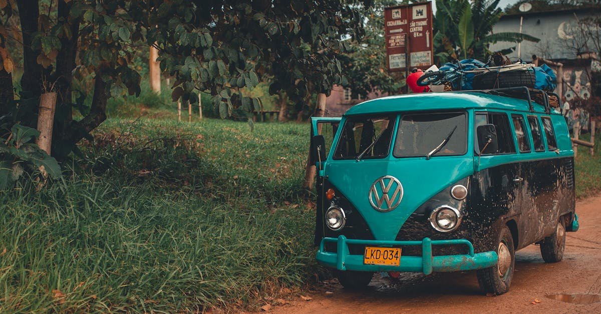 A classic Volkswagen van parked on a scenic rural road with lush greenery.