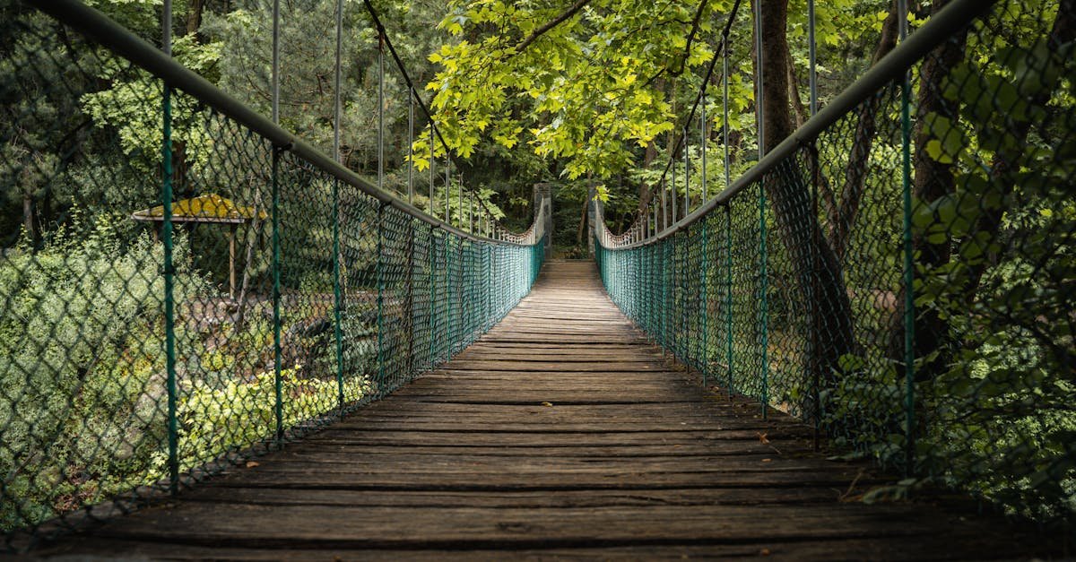 A tranquil wooden suspension bridge surrounded by verdant trees in a forest setting in Bursa, Türkiye.