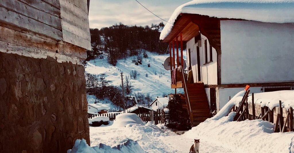 Cozy village scene in Mesudiye, Turkey, with cats and snow-covered traditional houses in winter.