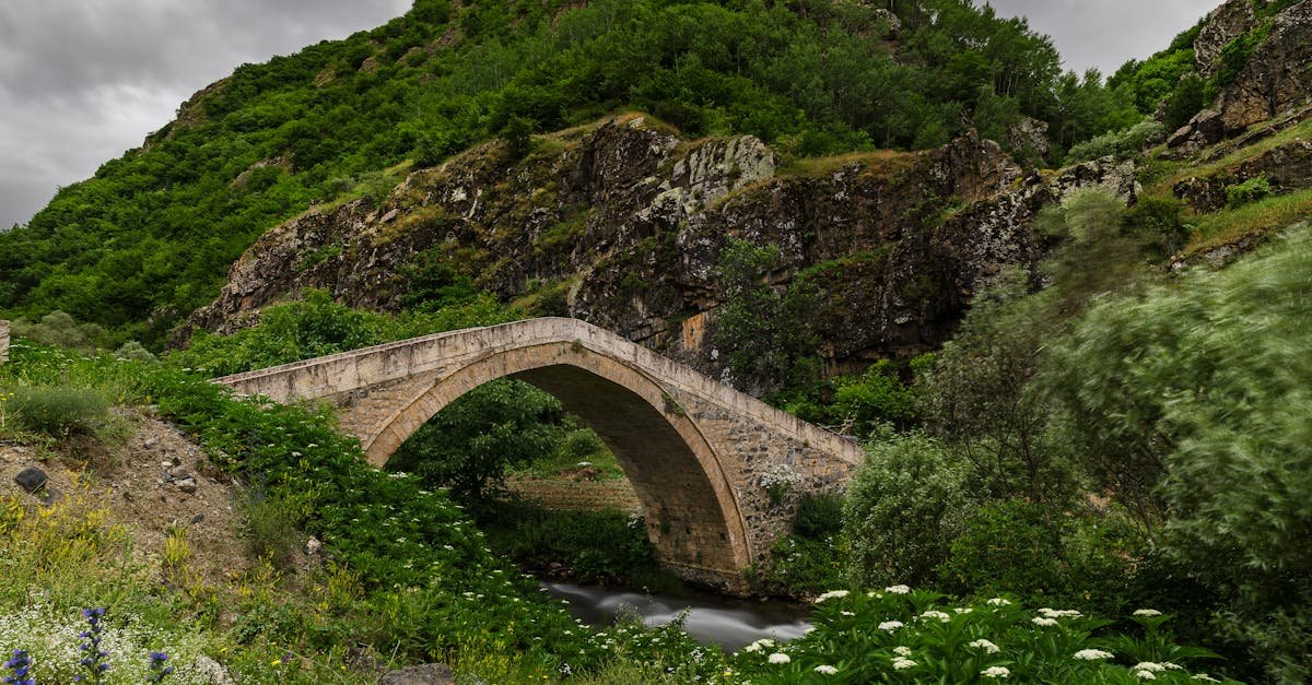 A picturesque historic stone bridge surrounded by lush greenery in Gümüşhane, Türkiye.