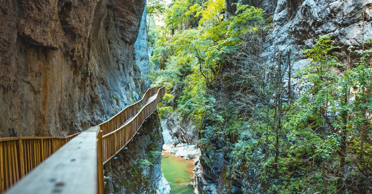 Explore the stunning gorge in Kastamonu with its scenic wooden walkway and lush greenery.
