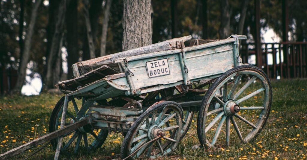 Old wooden cart amidst lush greenery in Tokat, Türkiye, showcasing rustic charm and history.