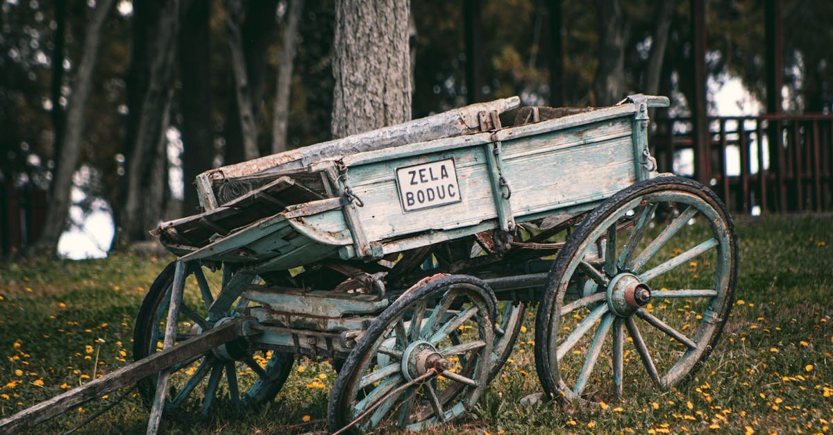 Old wooden cart amidst lush greenery in Tokat, Türkiye, showcasing rustic charm and history.