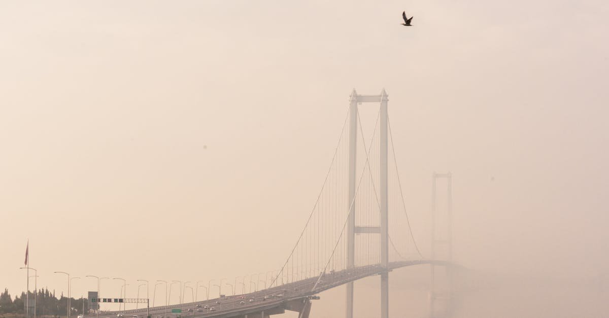 A foggy view of the Osmangazi Bridge in Gebze, Kocaeli, Türkiye, with a bird flying overhead.