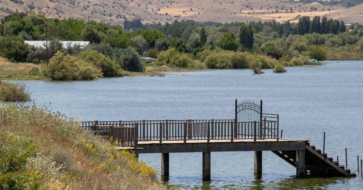 Serene landscape with a wooden pier extending over a tranquil lake in Elazığ, Türkiye.