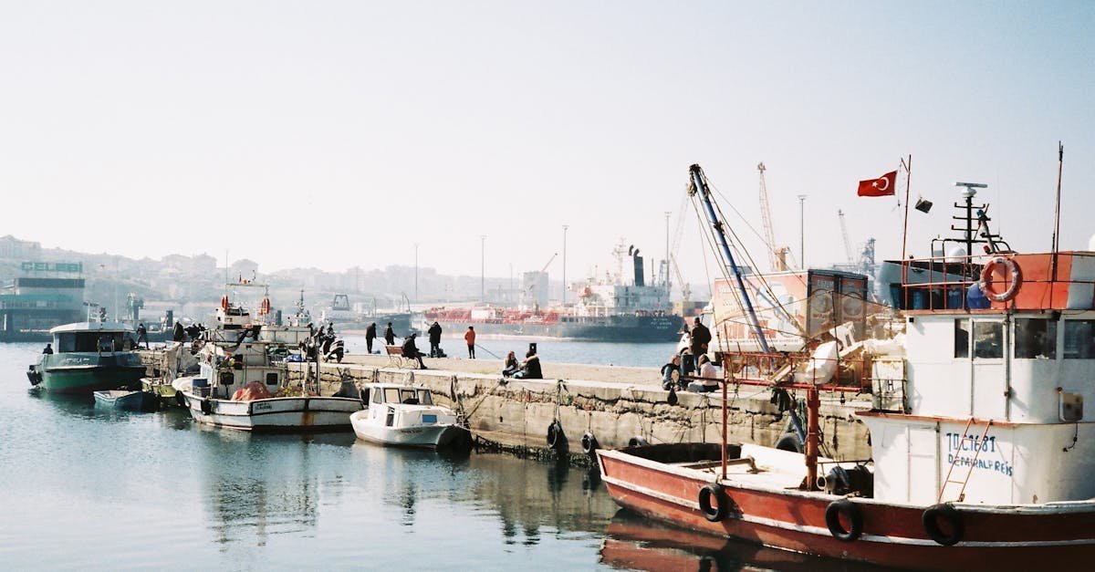 Fishermen and boats docked at a serene harbor in Bandırma, Türkiye, reflecting a peaceful day.