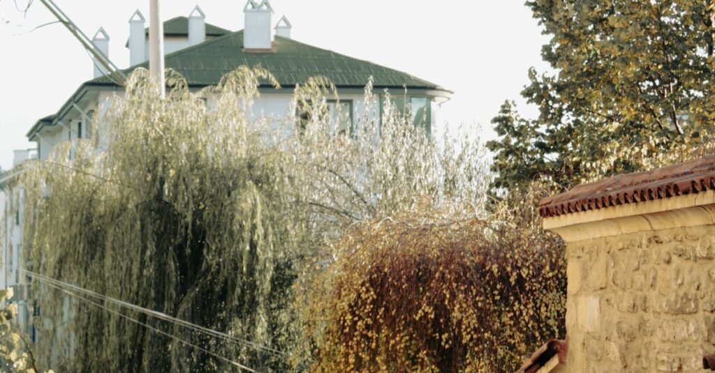 An individual strolling down a charming autumn street in Bolu, surrounded by rustic architecture and vibrant fall foliage.