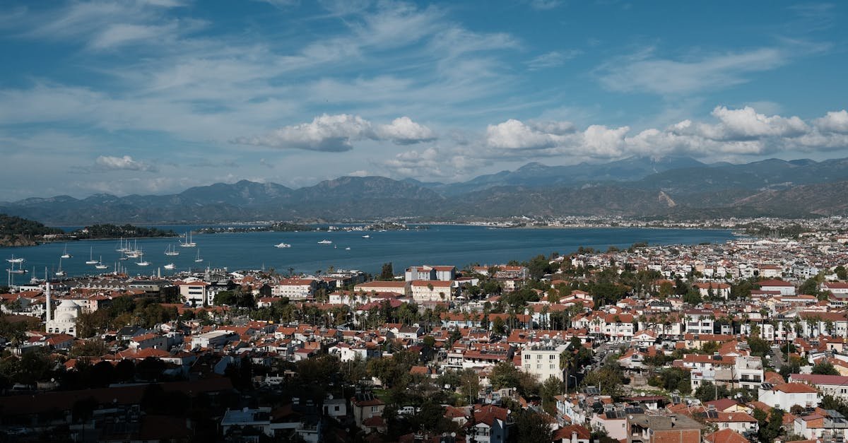 A stunning view of a coastal city with mountains and bay in the background.