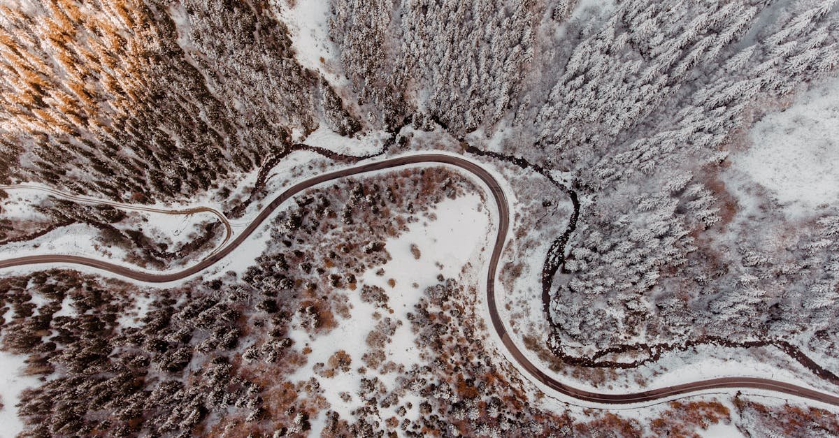 A snow-covered winding road through a serene winter forest in Giresun, Türkiye.