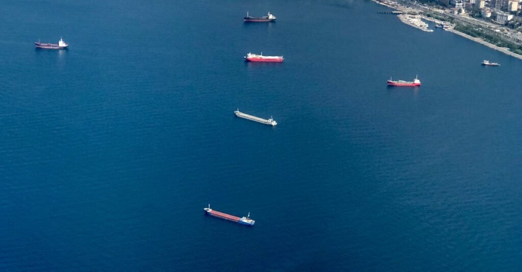 Aerial photo of ships on the Sea of Marmara near Kartal, Istanbul's coast.