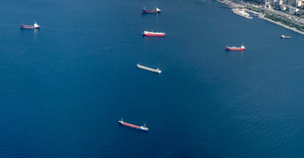Aerial photo of ships on the Sea of Marmara near Kartal, Istanbul's coast.