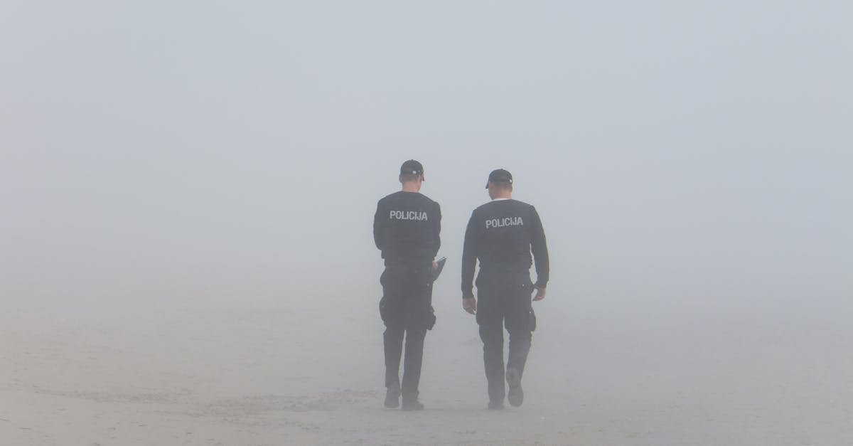 Two policemen walking on a foggy beach, creating an atmospheric scene.