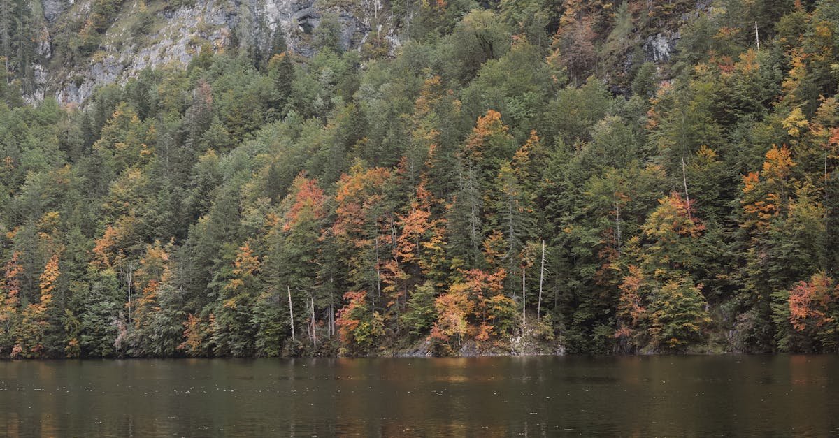 Tranquil autumn lake and majestic cliffs in Styria, Austria offering serene reflections.