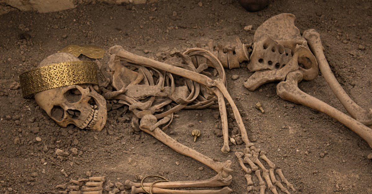 Unearthed skeleton with golden crown discovered in Çorum, Türkiye, showcasing rich ancient history.