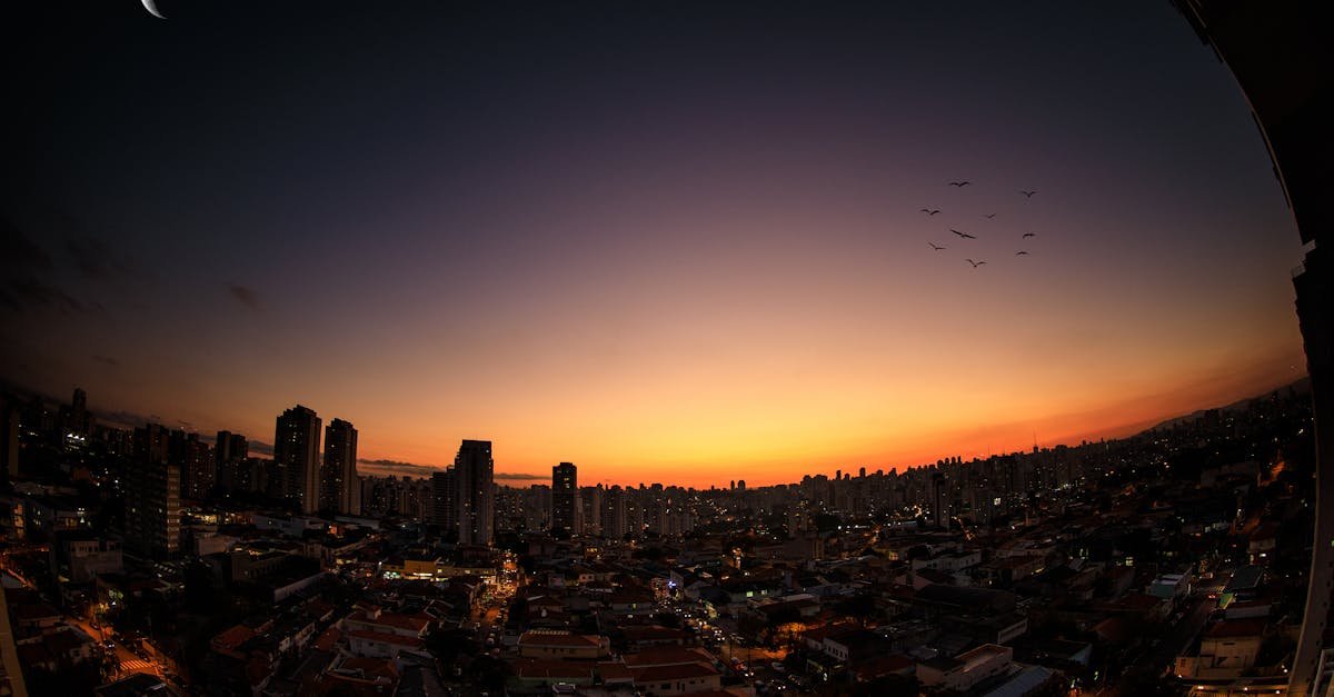 A breathtaking view of São Paulo's skyline at twilight with a crescent moon and birds in flight.