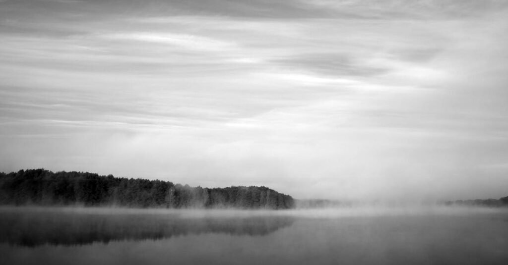 A serene black and white image of misty forest reflecting on a tranquil lake.