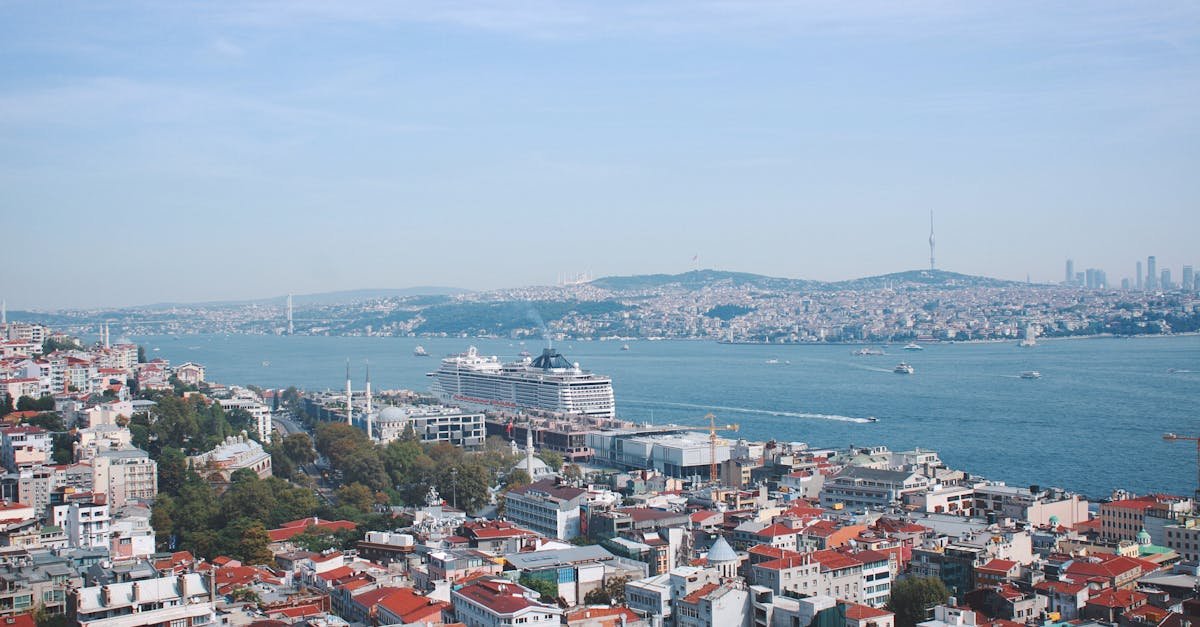 Aerial view of Istanbul's cityscape with a cruise ship in the Bosphorus Strait.